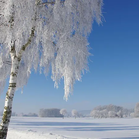 Designsuite דירה *