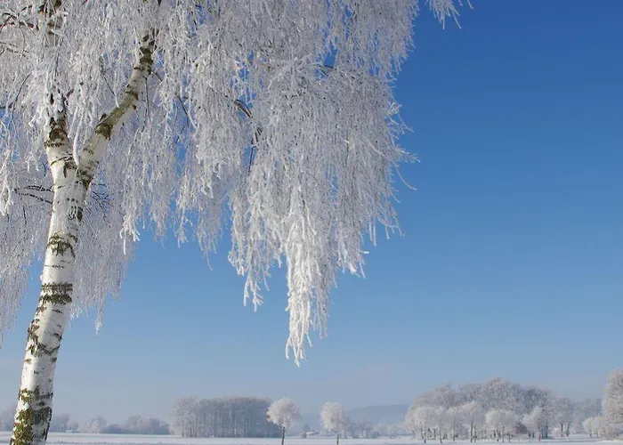 Designsuite Apartman *